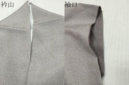平和屋着物●江戸小紋　南天文　正絹　逸品　DABK0489ud