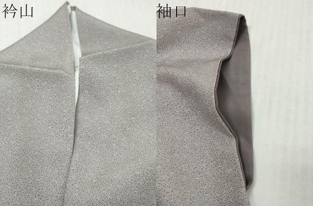 平和屋着物●江戸小紋　南天文　正絹　逸品　DABK0489ud