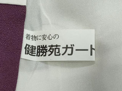 平和屋着物●霧島忍　訪問着　お召地　彩天目織　人物風景文　健勝苑扱い　反端付き　正絹　逸品　DABK0525ud