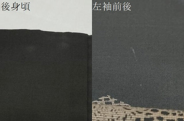 平和屋着物●本場縞大島紬　訪問着　吉祥草花文　黒地　正絹　逸品　DABK0536ud