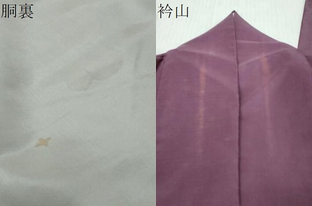 平和屋着物●訪問着　紬地　手描き　南天文　正絹　逸品　DABK0583ud