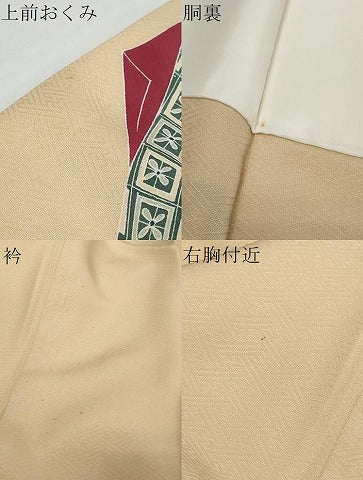 平和屋着物●豪華色留袖　人物枝桜文　暈し染め　金彩　正絹　逸品　DABK0715ud