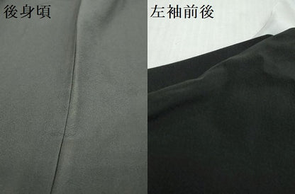 平和屋着物●豪華黒留袖　枝花文　暈し染め　金彩　正絹　逸品　DABK0843ud