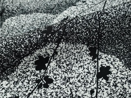 平和屋着物●訪問着　作家物　たたき染め　枝花文　黒地　やまと誂製　正絹　逸品　DABK0875ud