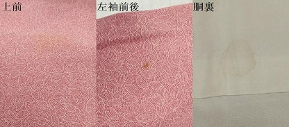 平和屋着物●江戸小紋　舞桜文　暈し染め　正絹　逸品　DABK0918ud