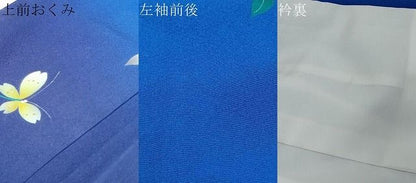 平和屋着物●豪華振袖　花蝶文　暈し染め　金彩　正絹　逸品　DABK0966ud