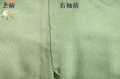 平和屋着物▽訪問着　単衣　駒刺繍　草花文　暈し染め　金彩　ロング丈　正絹　逸品　DABK1033cd