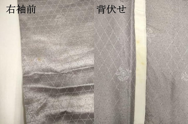 平和屋着物▽訪問着　単衣　藤花房　金彩　DABK1070cd