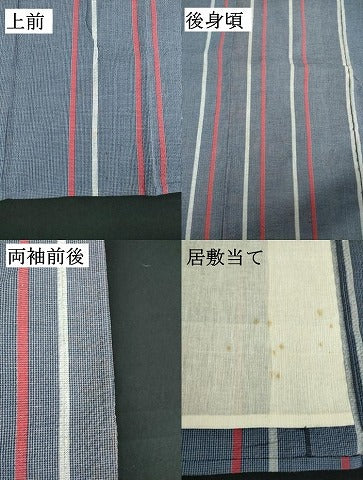 平和屋着物∴夏物　阿波しじら織　浴衣　間道　綿　逸品　DABK1094cd