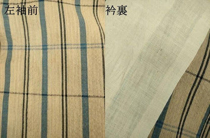 平和屋着物∴夏物　阿波しじら織　浴衣　格子　綿　逸品　DABK1097cd