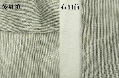 平和屋着物▽訪問着　無双　紗袷　紗×紗　流水枝花文　正絹　逸品　未使用　DABK1142cd