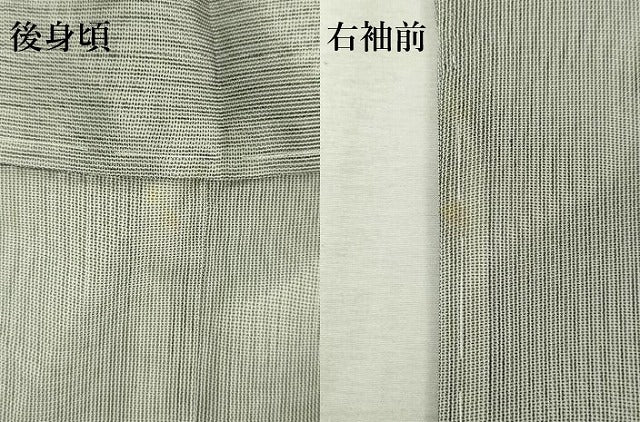平和屋着物▽訪問着　無双　紗袷　紗×紗　流水枝花文　正絹　逸品　未使用　DABK1142cd