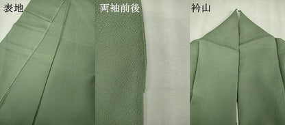平和屋着物■上質な色無地　山葵色　正絹　逸品　DABK1256cd