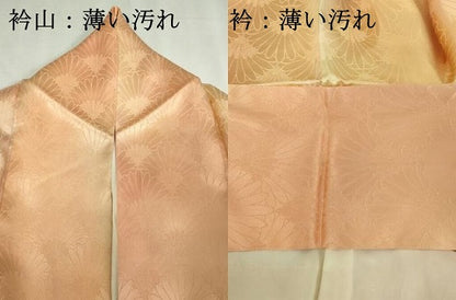 平和屋着物■上質な小紋　青海波花地紋　暈し染め　正絹　逸品　DABK1321cd