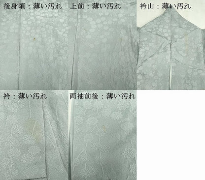 平和屋着物■上質な色無地　花繋ぎ地紋　白花色　正絹　逸品　DABK1324cd