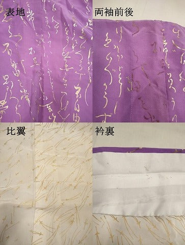 平和屋本店●お引きずり・お引き摺り　小紋　和装　舞台　舞妓　芸妓　芸者　衣装　文字文　金彩　DABK1443cd