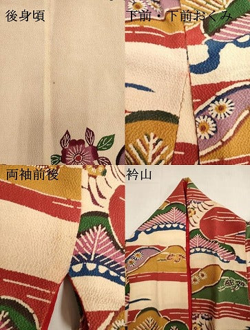 平和屋本店●色打掛　お引きずり　和装　婚礼　結婚式　花嫁　神社挙式　花蝶文　鬼しぼ縮緬　DABK1449cd