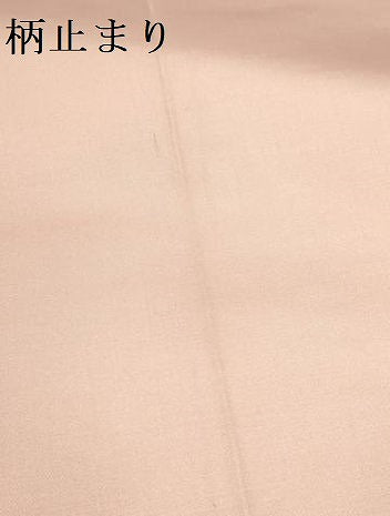 平和屋本店▼六通柄袋帯　唐織　天井絵古典　本金　正絹　逸品　DABK2160op