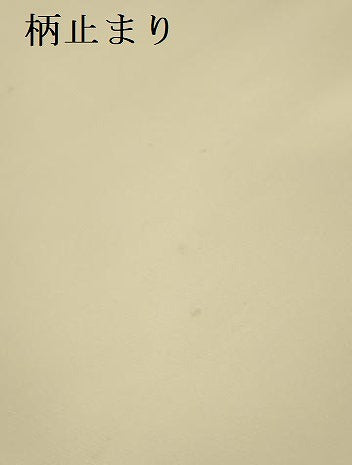平和屋本店▼六通柄袋帯　銀彩錦　亀甲松葉文　本金二重箔　正絹　逸品　DABK2245op