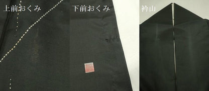 平和屋着物●訪問着　紬地　作家物　刺繍　刺し子　枝花　黒地　金糸　さが美扱い　正絹　逸品　DABK2460op