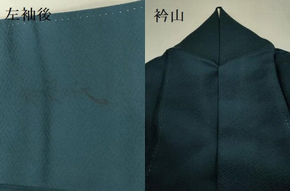 平和屋着物●染色作家　斉藤三才　訪問着　切嵌花鳥文　金彩　正絹　逸品　DABK2742op