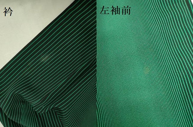 平和屋着物●染色作家　斉藤三才　小紋　三才鳥　縞　暈し染め　ますいわ屋扱い　正絹　逸品　DABK2773op