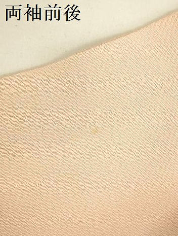 平和屋着物●訪問着　駒刺繍　草花　暈し染め　金彩　鬼しぼ縮緬　ロング丈　正絹　逸品　DABK2838op