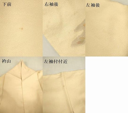 平和屋着物●訪問着　螺鈿　地紋起こし　草花　金彩　正絹　逸品　DABK2971op