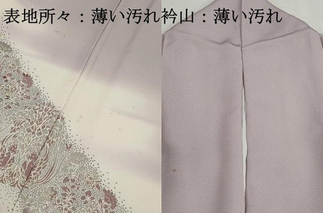 平和屋着物■訪問着　寿光織　更紗花文　暈し染め　金銀糸　正絹　逸品　DABK3001qa