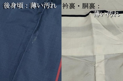 平和屋着物■本場縞大島紬　間道　正絹　逸品　DABK3003qa