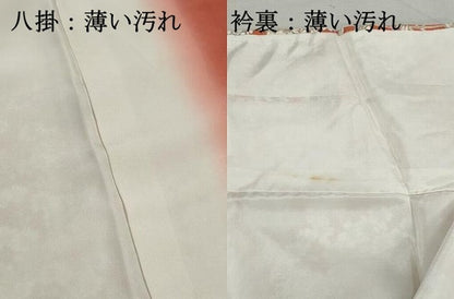 平和屋着物■上質な小紋　枝花文　金彩　正絹　逸品　DABK3123qa
