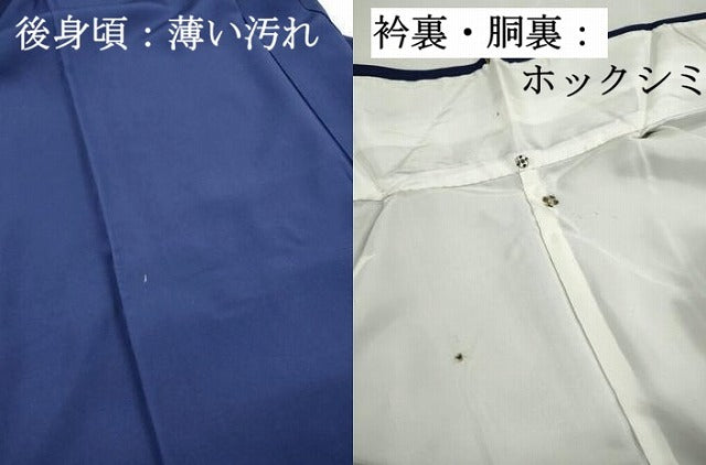 平和屋着物■訪問着　枝葉文　正絹　逸品　DABK3124qa