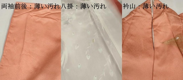 平和屋着物■訪問着　孔雀文　暈し染め　金彩　正絹　逸品　DABK3144qa