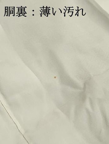 平和屋着物■上質な小紋　毘沙門亀甲　正絹　逸品　DABK3146qa