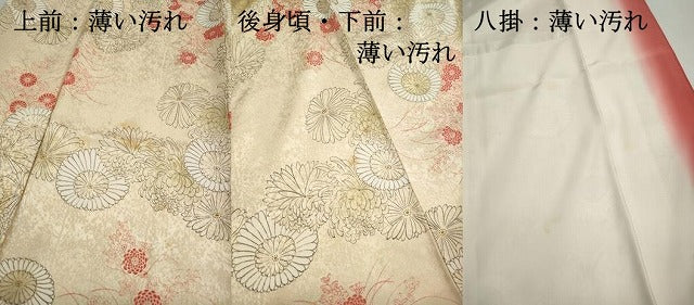 平和屋着物■上質な小紋　手描き　草花文　菊尽くし　正絹　逸品　DABK3147qa