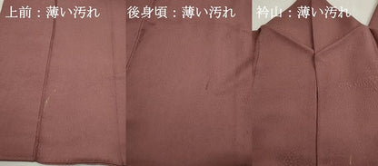 平和屋着物■上質な色無地　草花地紋　宗伝唐茶色　正絹　逸品　DABK3148qa