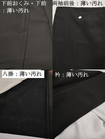 平和屋着物■豪華黒留袖　作家物　風景花文　暈し染め　金彩　正絹　逸品　DABK3185qa