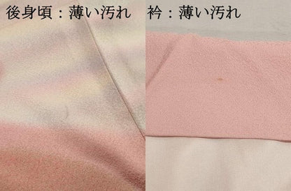 平和屋着物■訪問着　刺繍　貝桶花文　暈し染め　金銀彩　正絹　逸品　DABK3193qa