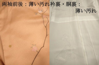 平和屋着物■訪問着　風景花文　暈し染め　金彩　正絹　逸品　DABK3200qa