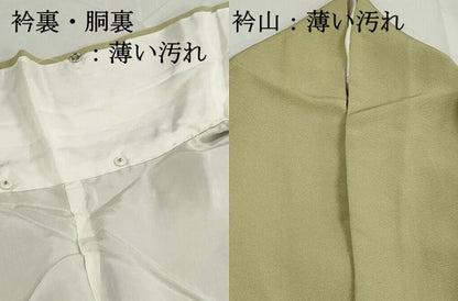 平和屋着物■上質な色無地　青朽葉色　正絹　逸品　DABK3236qa