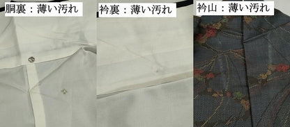 平和屋着物■本場大島紬　7マルキ　枝花文　正絹　逸品　DABK3246qa
