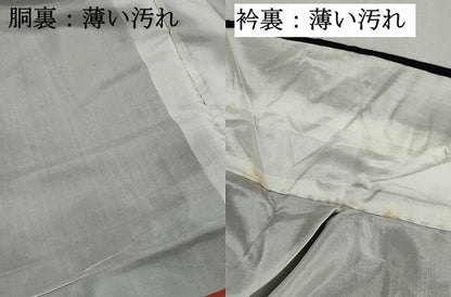 平和屋着物■本場大島紬　亀甲花文　正絹　逸品　DABK3247qa