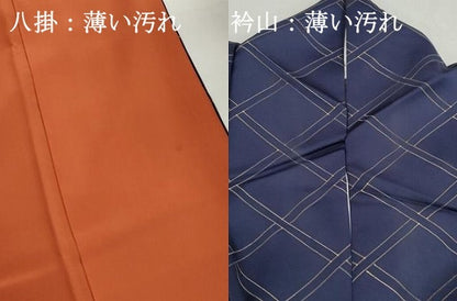 平和屋着物■訪問着　総刺繍　格子花文　金彩　正絹　逸品　DABK3252qa
