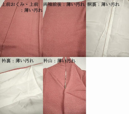 平和屋着物■江戸小紋　行儀　小紋師　鈴木秋治　正絹　逸品　DABK3254qa