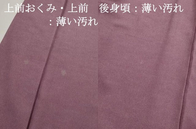 平和屋着物■江戸小紋　鮫小紋柄　正絹　逸品　DABK3262qa