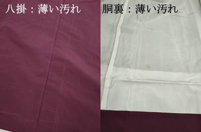 平和屋着物■上質な紬　麻の葉文　正絹　逸品　DABK3268qa