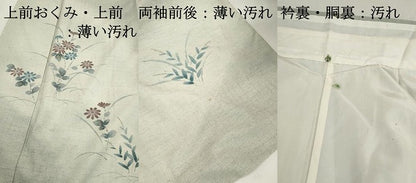 平和屋着物■訪問着　紬地　手描き　草花文　暈し染め　金彩　正絹　逸品　DABK3271qa