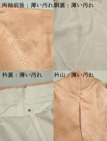 平和屋着物■上質な小紋　花青海波地紋　暈し染め　正絹　逸品　DABK3272qa