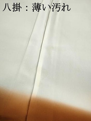 平和屋着物■江戸小紋　鮫小紋柄　鬼しぼ縮緬　反端付き　正絹　逸品　DABK3281qa