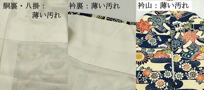 平和屋着物■上質な小紋　型染め　エ霞花蝶文　正絹　逸品　DABK3290qa